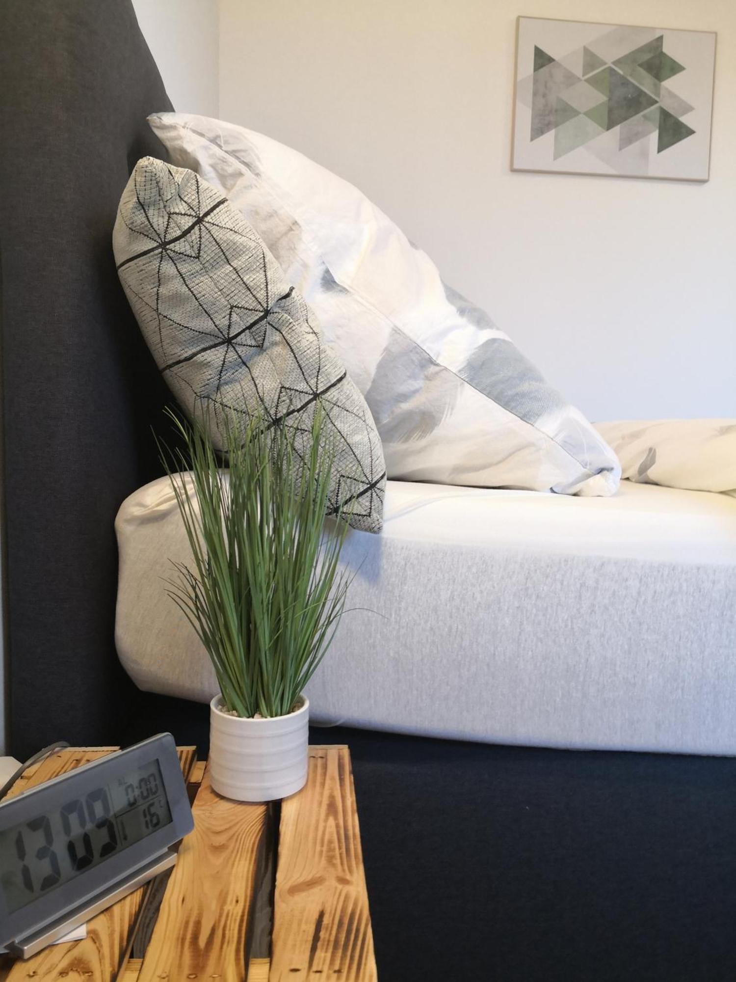 Exklusives Apartment Zw. Lu Und Speyer Mit Aufzug Neuhofen المظهر الخارجي الصورة
